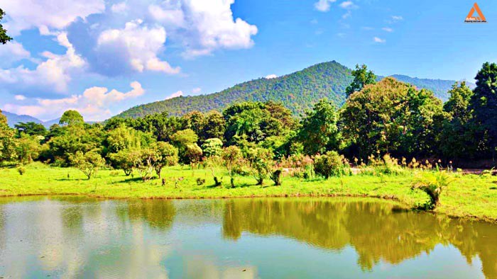 ให้เช่า-บ้านพักตากอากาศ-พร้อมที่ดินขนาดใหญ่-วิวสวย-บรรยากาศดี-หลัง-มแม่โจ้-เส้นทางไปไปวัดแท่นพระ