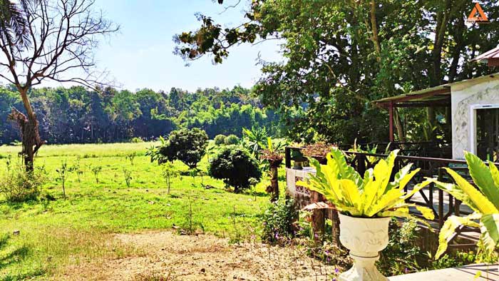 ให้เช่า-บ้านพักตากอากาศ-พร้อมที่ดินขนาดใหญ่-วิวสวย-บรรยากาศดี-หลัง-มแม่โจ้-เส้นทางไปไปวัดแท่นพระ