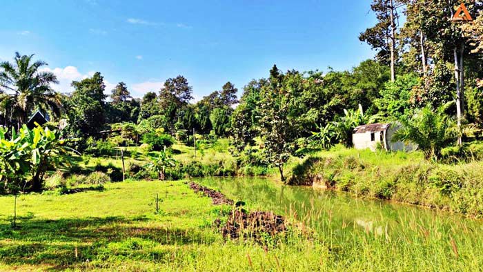 ให้เช่า-บ้านพักตากอากาศ-พร้อมที่ดินขนาดใหญ่-วิวสวย-บรรยากาศดี-หลัง-มแม่โจ้-เส้นทางไปไปวัดแท่นพระ