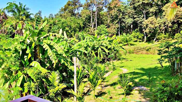 ให้เช่า-บ้านพักตากอากาศ-พร้อมที่ดินขนาดใหญ่-วิวสวย-บรรยากาศดี-หลัง-มแม่โจ้-เส้นทางไปไปวัดแท่นพระ