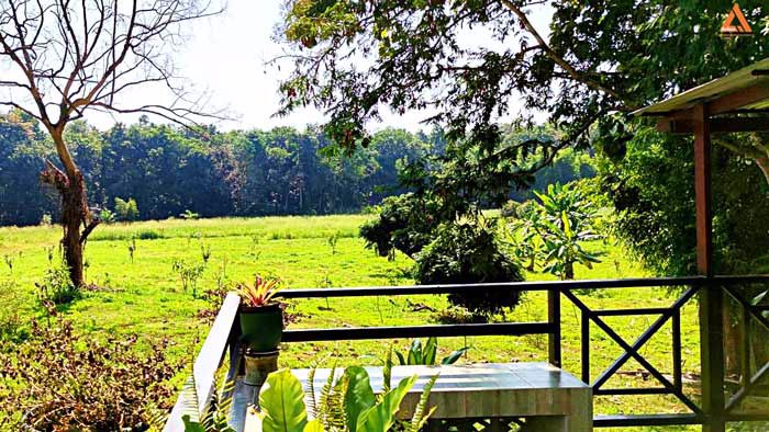 ให้เช่า-บ้านพักตากอากาศ-พร้อมที่ดินขนาดใหญ่-วิวสวย-บรรยากาศดี-หลัง-มแม่โจ้-เส้นทางไปไปวัดแท่นพระ