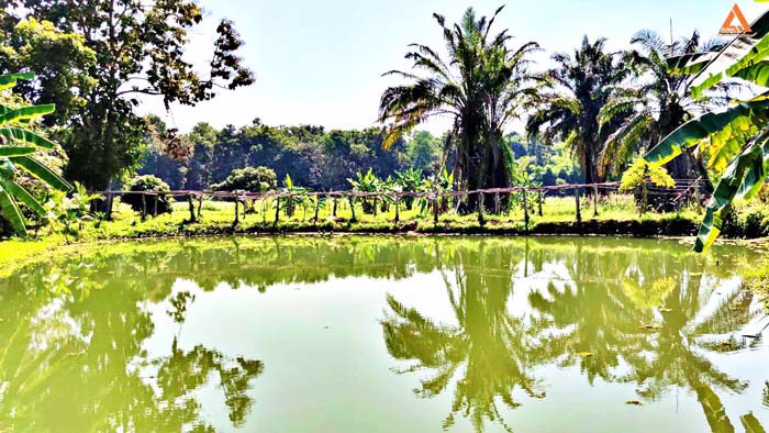 ให้เช่า-บ้านพักตากอากาศ-พร้อมที่ดินขนาดใหญ่-วิวสวย-บรรยากาศดี-หลัง-มแม่โจ้-เส้นทางไปไปวัดแท่นพระ