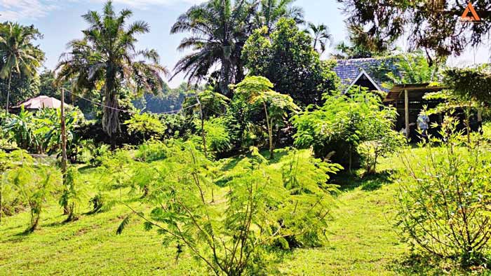 ให้เช่า-บ้านพักตากอากาศ-พร้อมที่ดินขนาดใหญ่-วิวสวย-บรรยากาศดี-หลัง-มแม่โจ้-เส้นทางไปไปวัดแท่นพระ