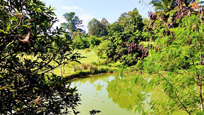 ให้เช่า-บ้านพักตากอากาศ-พร้อมที่ดินขนาดใหญ่-วิวสวย-บรรยากาศดี-หลัง-มแม่โจ้-เส้นทางไปไปวัดแท่นพระ