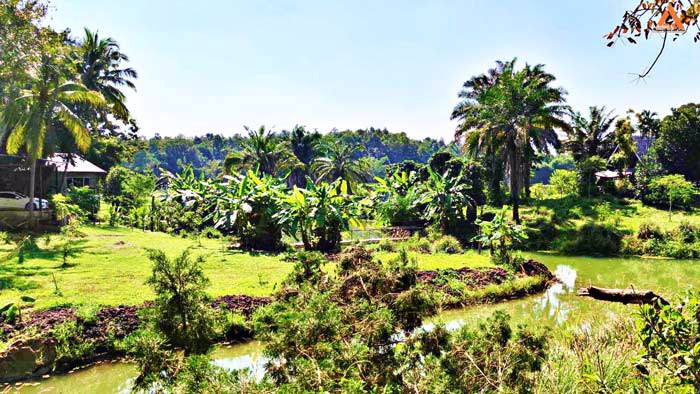 ให้เช่า-บ้านพักตากอากาศ-พร้อมที่ดินขนาดใหญ่-วิวสวย-บรรยากาศดี-หลัง-มแม่โจ้-เส้นทางไปไปวัดแท่นพระ