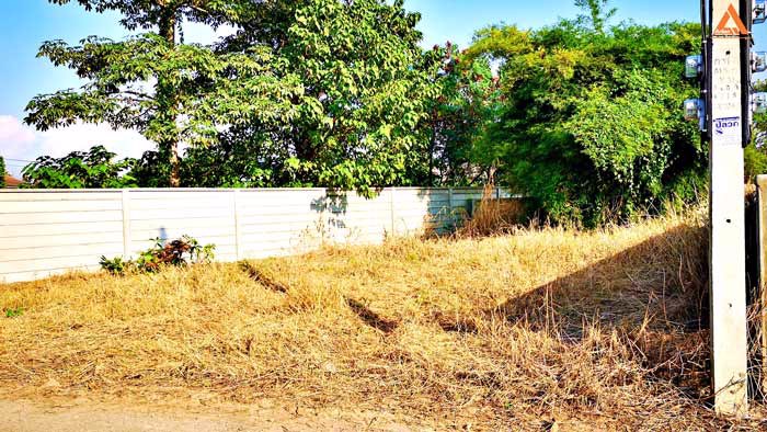 ขายที่ดิน-โซนบ้านกลาง-ตำบลท่าวังตาล-อำเภอสารภี