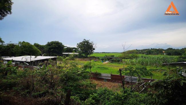 ขายที่ดิน-ติดถนน-ชม3044-ตำบลแม่โป่ง-อำเภอดอยสะเก็ด-จังหวัดเชียงใหม่