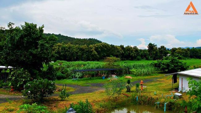 ขายที่ดิน-ติดถนน-ชม3044-ตำบลแม่โป่ง-อำเภอดอยสะเก็ด-จังหวัดเชียงใหม่