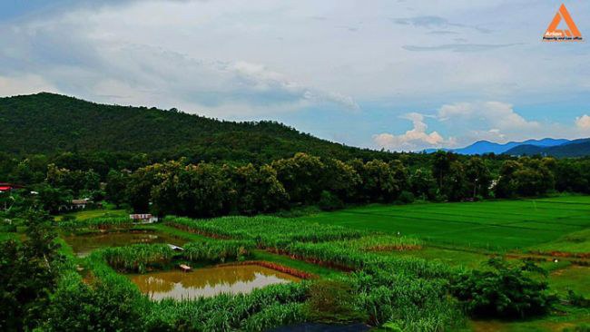 ขายที่ดิน-ติดถนน-ชม3044-ตำบลแม่โป่ง-อำเภอดอยสะเก็ด-จังหวัดเชียงใหม่