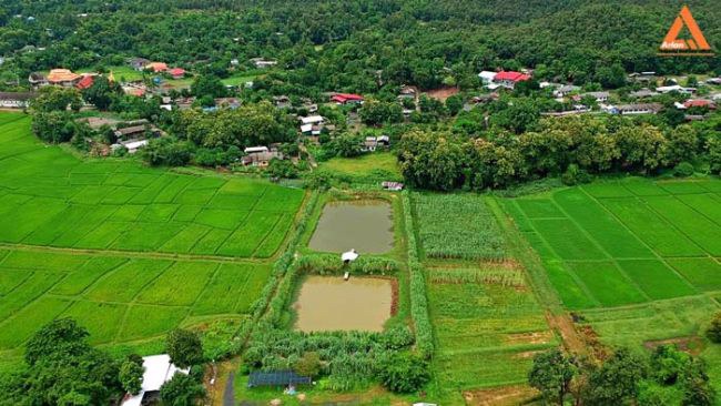 ขายที่ดิน-ติดถนน-ชม3044-ตำบลแม่โป่ง-อำเภอดอยสะเก็ด-จังหวัดเชียงใหม่