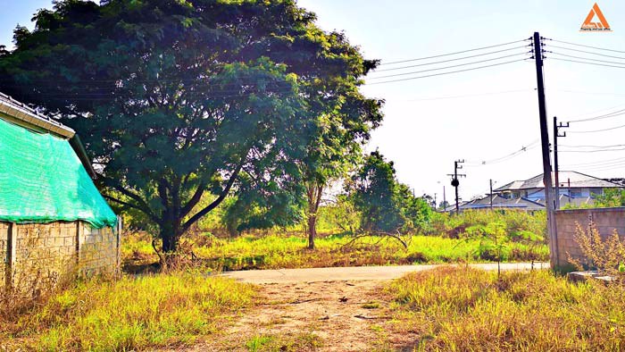 ขายที่ดิน-โซนบ้านเสาหิน-ตำบลหนองผึ้ง-อำเภอสารภี-ไม่ไกลเมือง-การเดินทางสะดวก