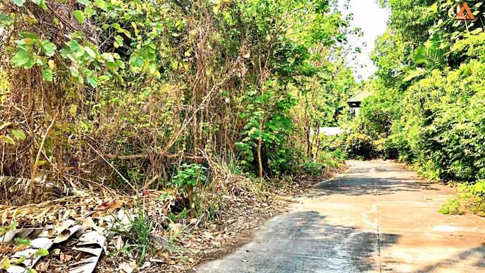 ขายที่ดินหลังกาดฝรั่ง-อยู่ในโครงการธารดง-ตำบลบ้านแหวน-อำเภอหางดง-จังหวัดเชียงใหม่