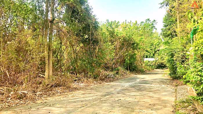 ขายที่ดินหลังกาดฝรั่ง-อยู่ในโครงการธารดง-ตำบลบ้านแหวน-อำเภอหางดง-จังหวัดเชียงใหม่