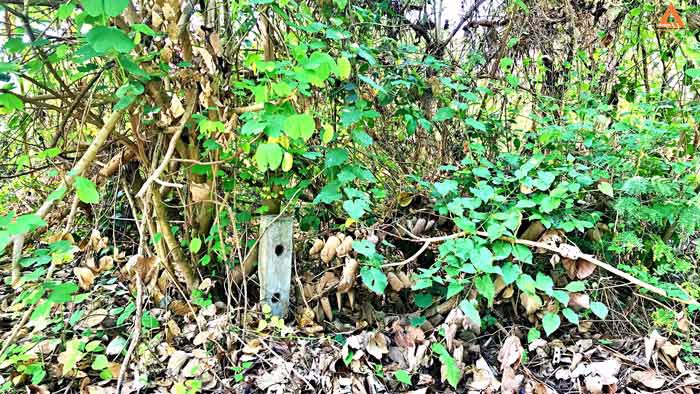 ขายที่ดินหลังกาดฝรั่ง-อยู่ในโครงการธารดง-ตำบลบ้านแหวน-อำเภอหางดง-จังหวัดเชียงใหม่