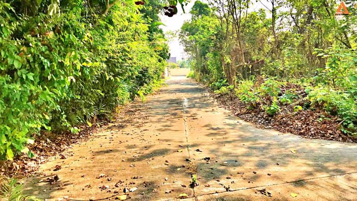 ขายที่ดินหลังกาดฝรั่ง-อยู่ในโครงการธารดง-ตำบลบ้านแหวน-อำเภอหางดง-จังหวัดเชียงใหม่