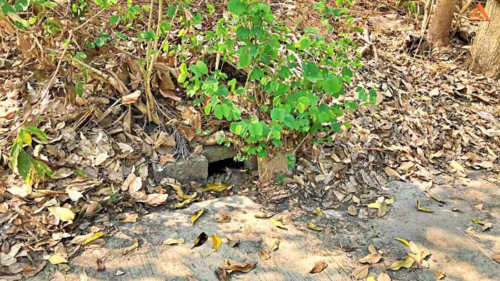 ขายที่ดินหลังกาดฝรั่ง-อยู่ในโครงการธารดง-ตำบลบ้านแหวน-อำเภอหางดง-จังหวัดเชียงใหม่