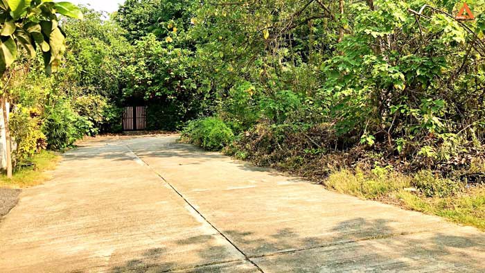 ขายที่ดินหลังกาดฝรั่ง-อยู่ในโครงการธารดง-ตำบลบ้านแหวน-อำเภอหางดง-จังหวัดเชียงใหม่