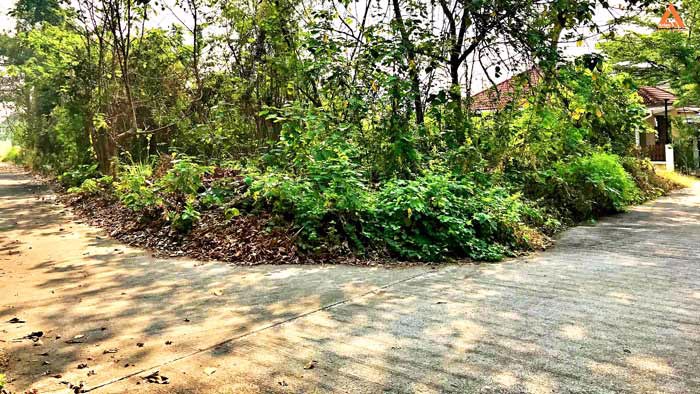 ขายที่ดินหลังกาดฝรั่ง-อยู่ในโครงการธารดง-ตำบลบ้านแหวน-อำเภอหางดง-จังหวัดเชียงใหม่