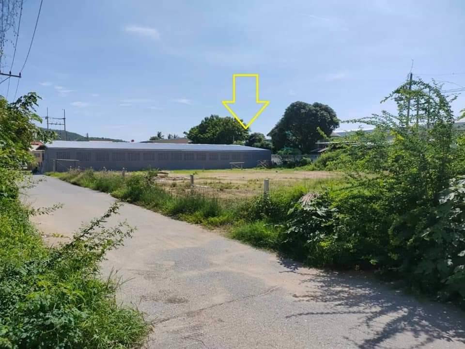 ขายยกแปลง-หรือ-แบ่งขาย-ซท่าล้อ-18-ตรวละ-14250-บาท-แปลงละ-13333-ตรว-ราคาแปลงละ-19-ล้าน-จำนวน