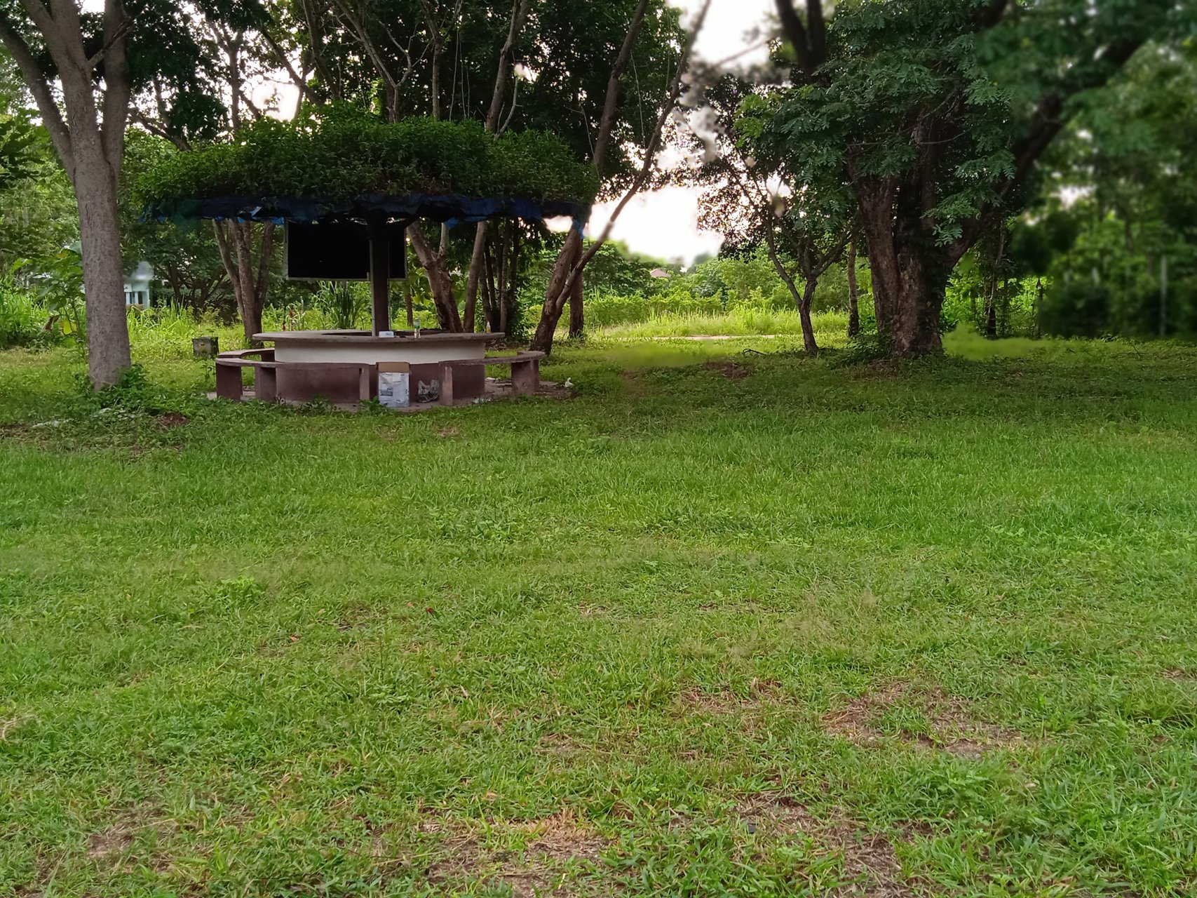 ที่ดินโฉนด1ไร่-ราคา800000-เขตเทศบาลตท่าเคยอสวนผึ้ง-จราชบุรี