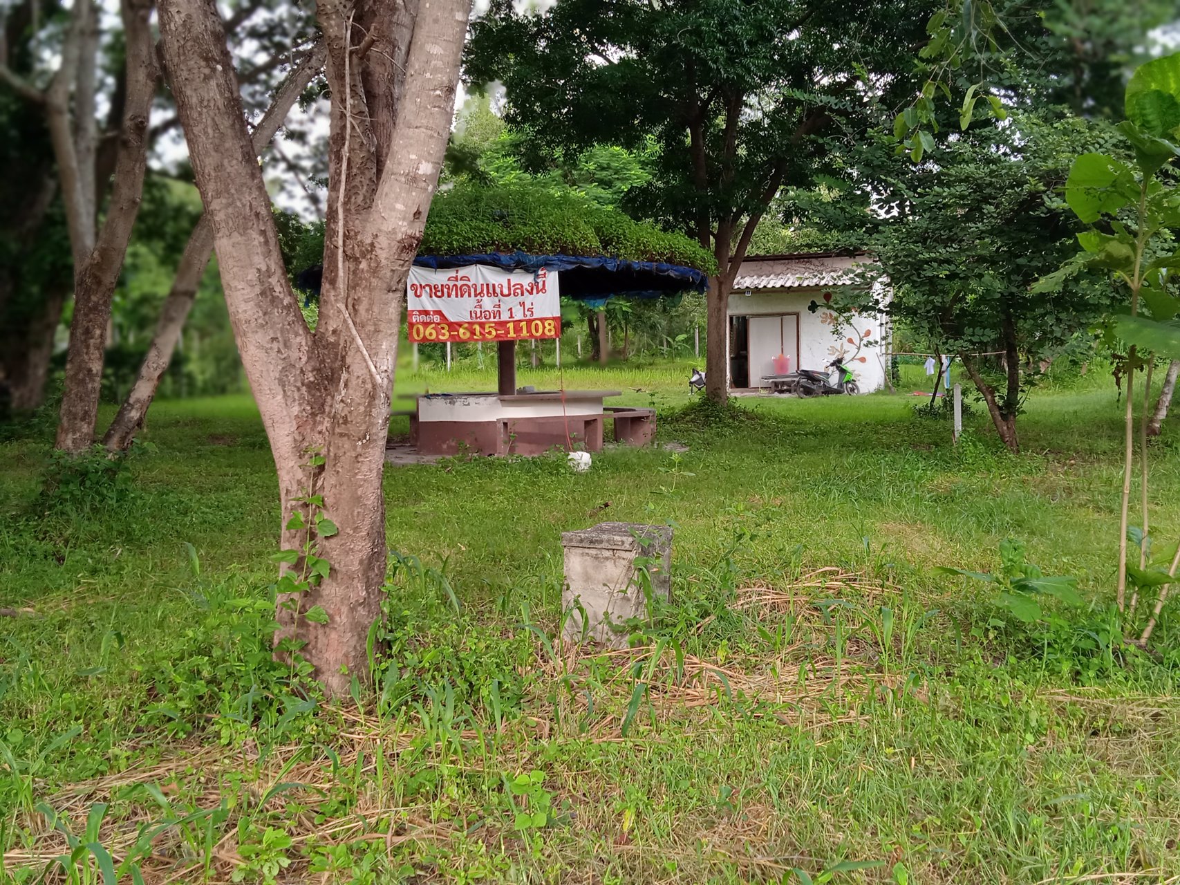 ที่ดินโฉนด1ไร่-ราคา800000-เขตเทศบาลตท่าเคยอสวนผึ้ง-จราชบุรี