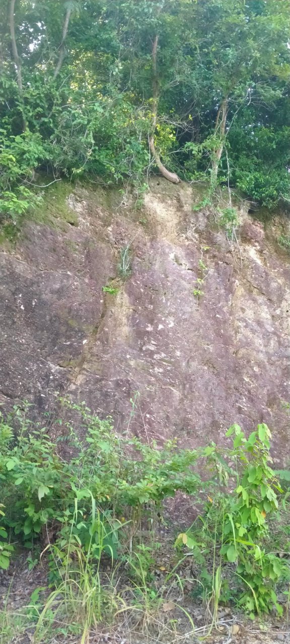 ขายที่ดิน-เป็นทีชีวิวเห็นทะเลเเละเกาะต่างหลายเกาะ-เป็น-นส3-ธรรมดา-9ไร่