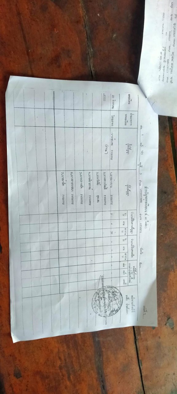 ขายที่ดิน-เป็นทีชีวิวเห็นทะเลเเละเกาะต่างหลายเกาะ-เป็น-นส3-ธรรมดา-9ไร่