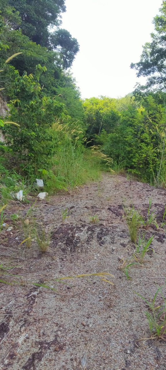 ขายที่ดิน-เป็นทีชีวิวเห็นทะเลเเละเกาะต่างหลายเกาะ-เป็น-นส3-ธรรมดา-9ไร่