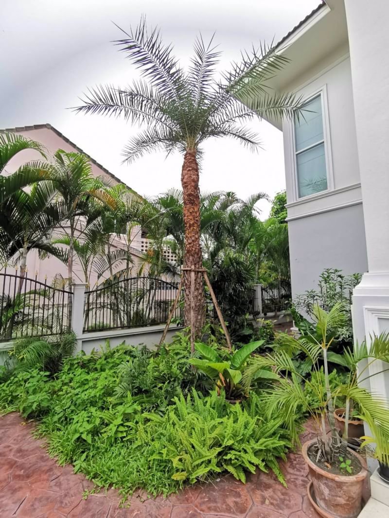 home-office-for-sale-in-chiangmai