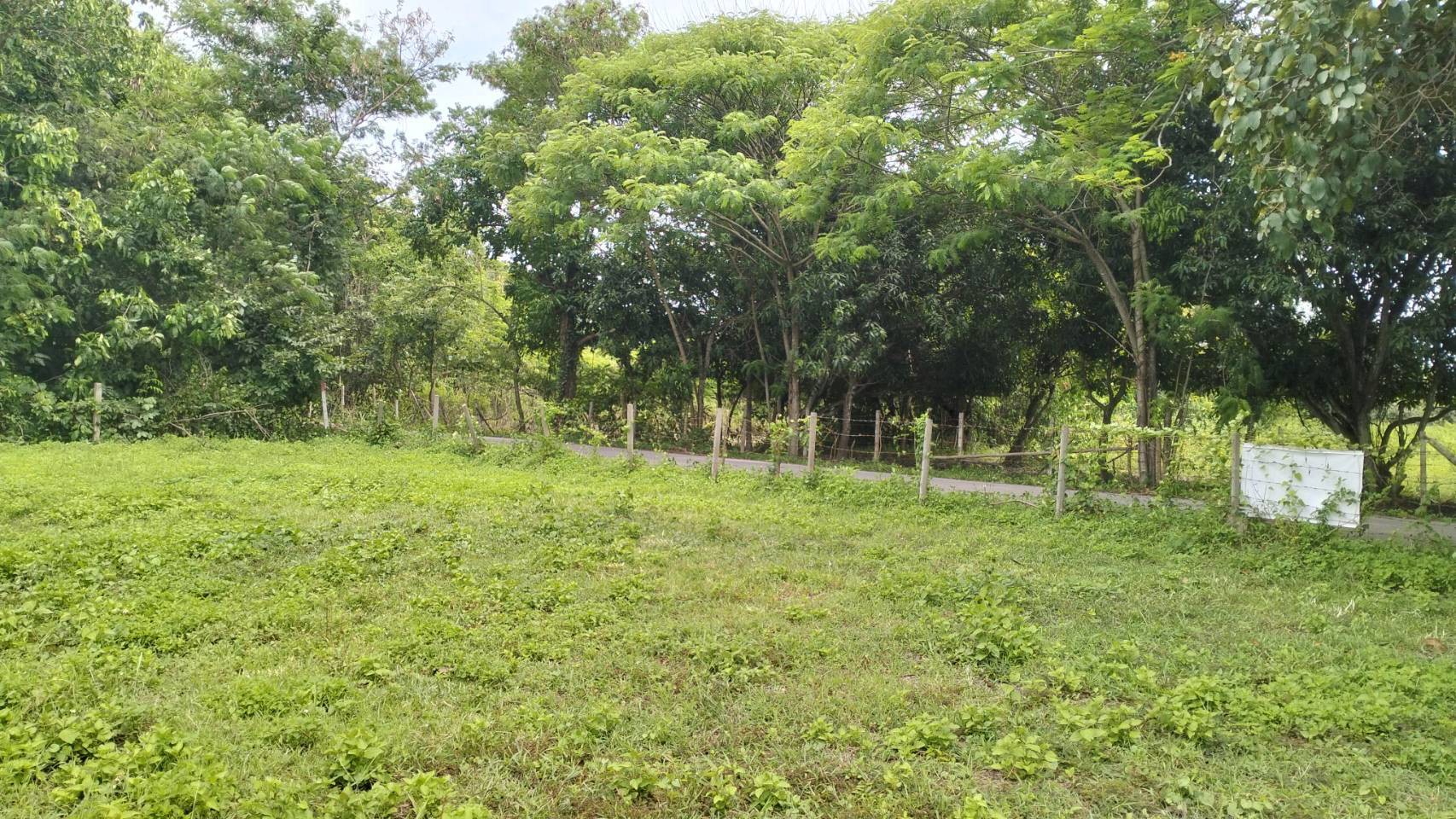 ที่ดินราคาถูกที่สุดในน้ำแพร่-เริ่มต้นเพียง-3750-บาท-ตรว-เท่านั้น