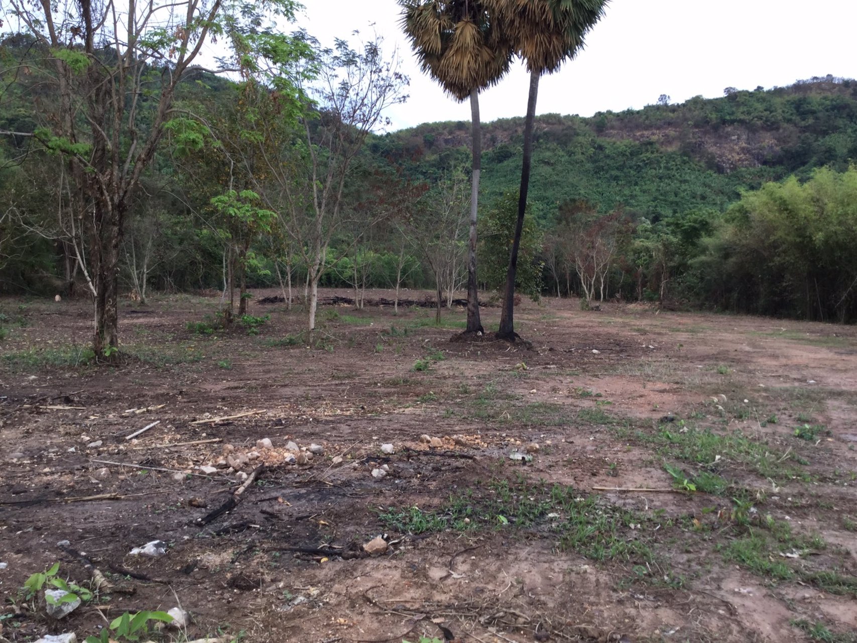 ขายที่ดินติดเนินเขา-ด้านหน้าติดถนนดำ