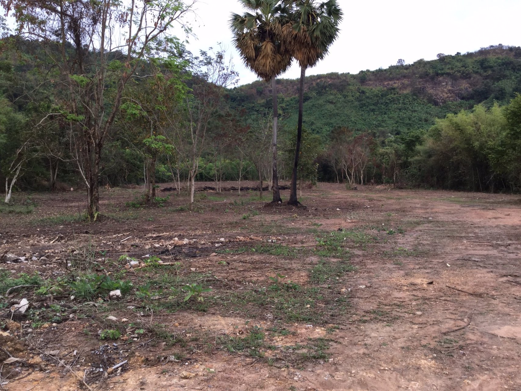 ขายที่ดินติดเนินเขา-ด้านหน้าติดถนนดำ