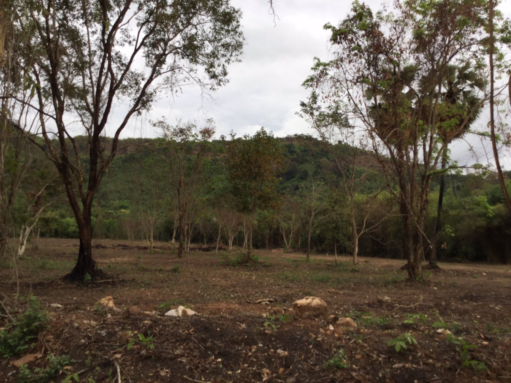 ขายที่ดินติดเนินเขา-ด้านหน้าติดถนนดำ