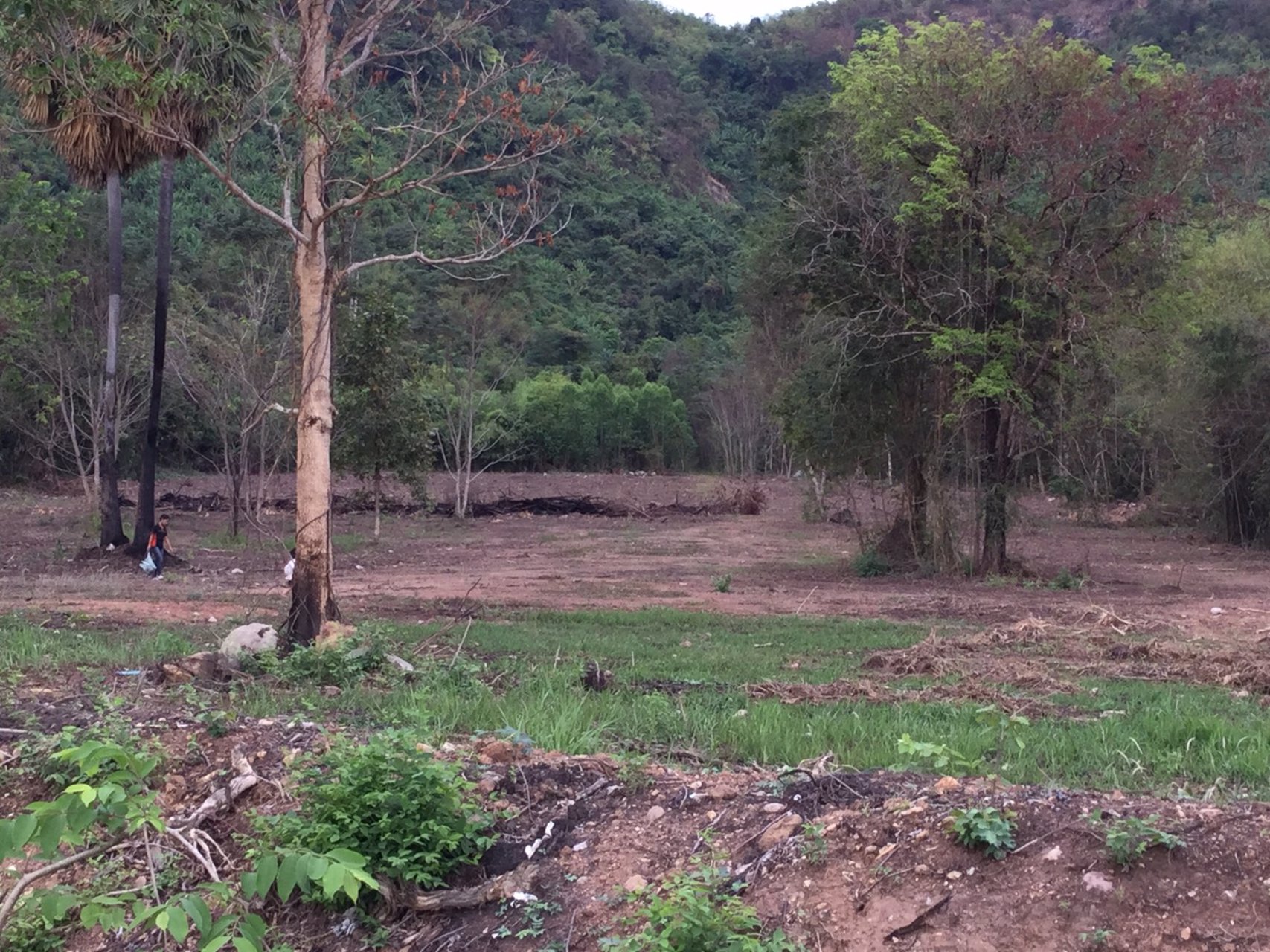 ขายที่ดินติดเนินเขา-ด้านหน้าติดถนนดำ