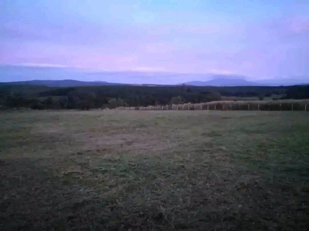 ขายที่ดินภูเรือ-ราคาถูก-วิวสวย-แปลงละ-590000บาท-ผ่อนได้