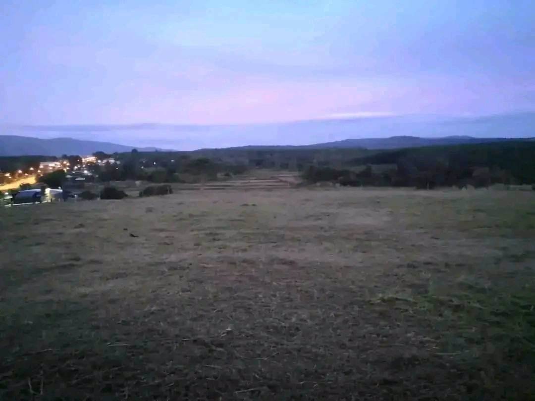 ขายที่ดินภูเรือ-ราคาถูก-วิวสวย-แปลงละ-590000บาท-ผ่อนได้