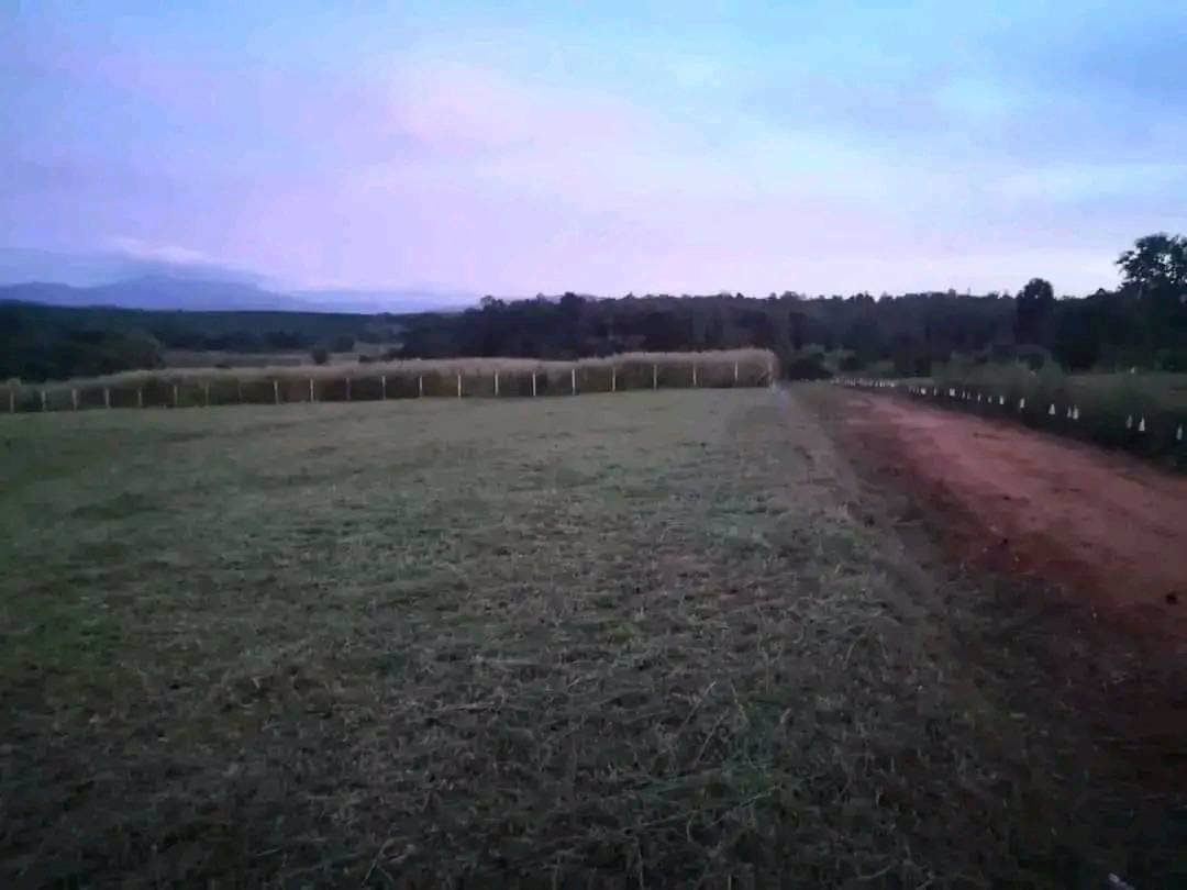 ขายที่ดินภูเรือ-ราคาถูก-วิวสวย-แปลงละ-590000บาท-ผ่อนได้