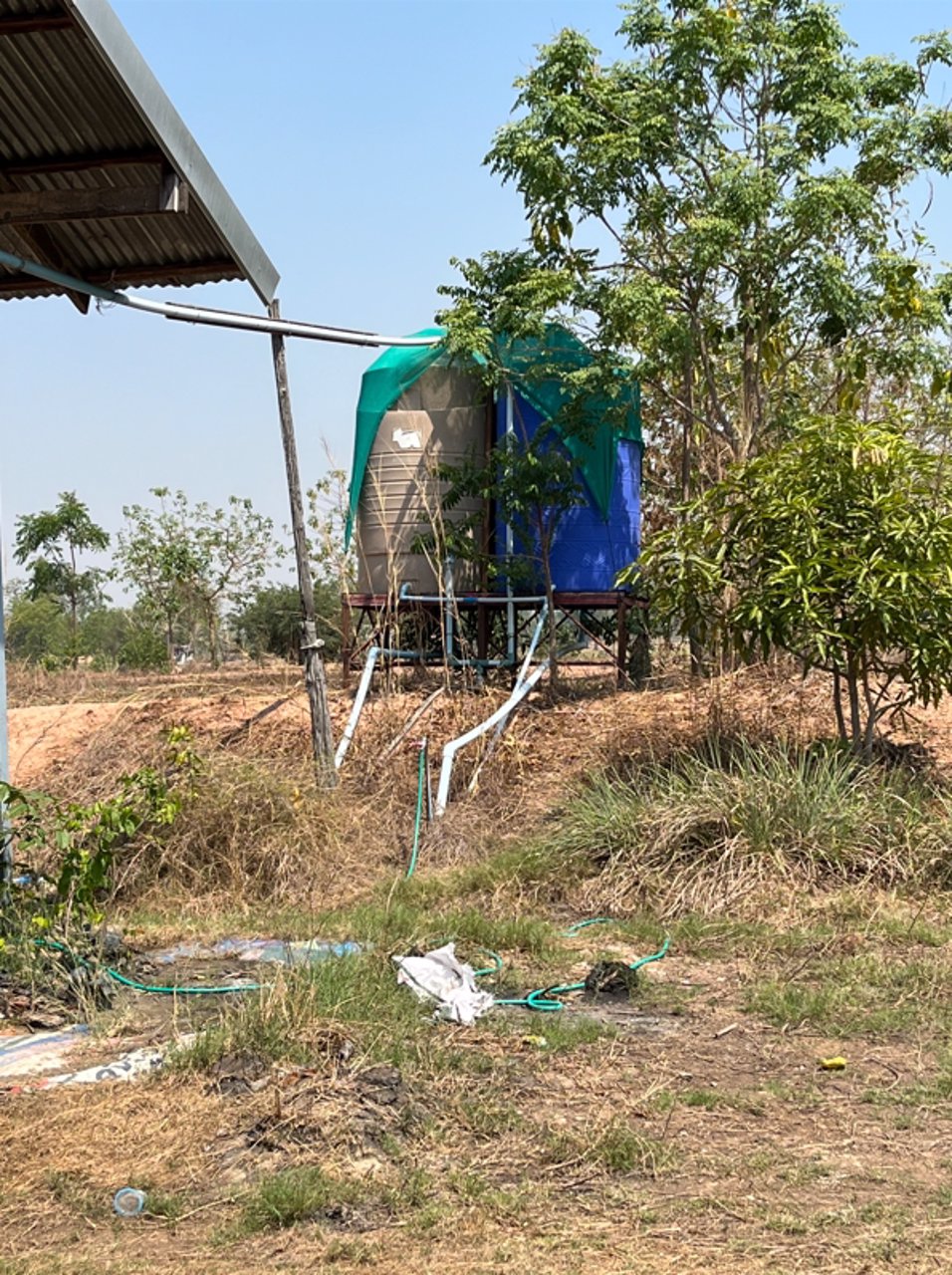 ขายที่ดิน-เนื้อที่-28-ไร่-3-งาน-93-ตารางวา-เป็นไร่นาสวนผสม