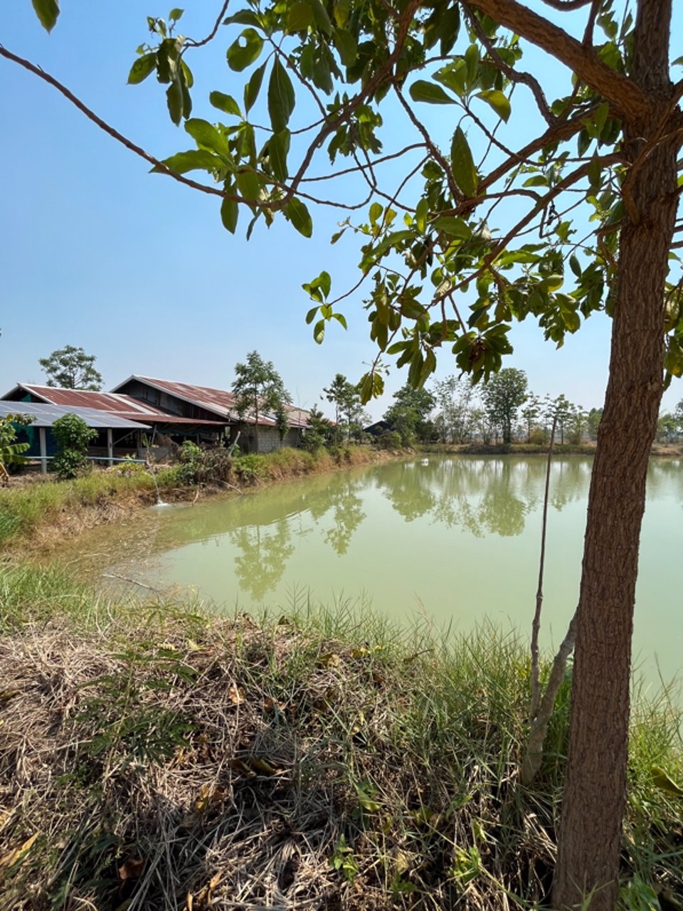 ขายที่ดิน-เนื้อที่-28-ไร่-3-งาน-93-ตารางวา-เป็นไร่นาสวนผสม