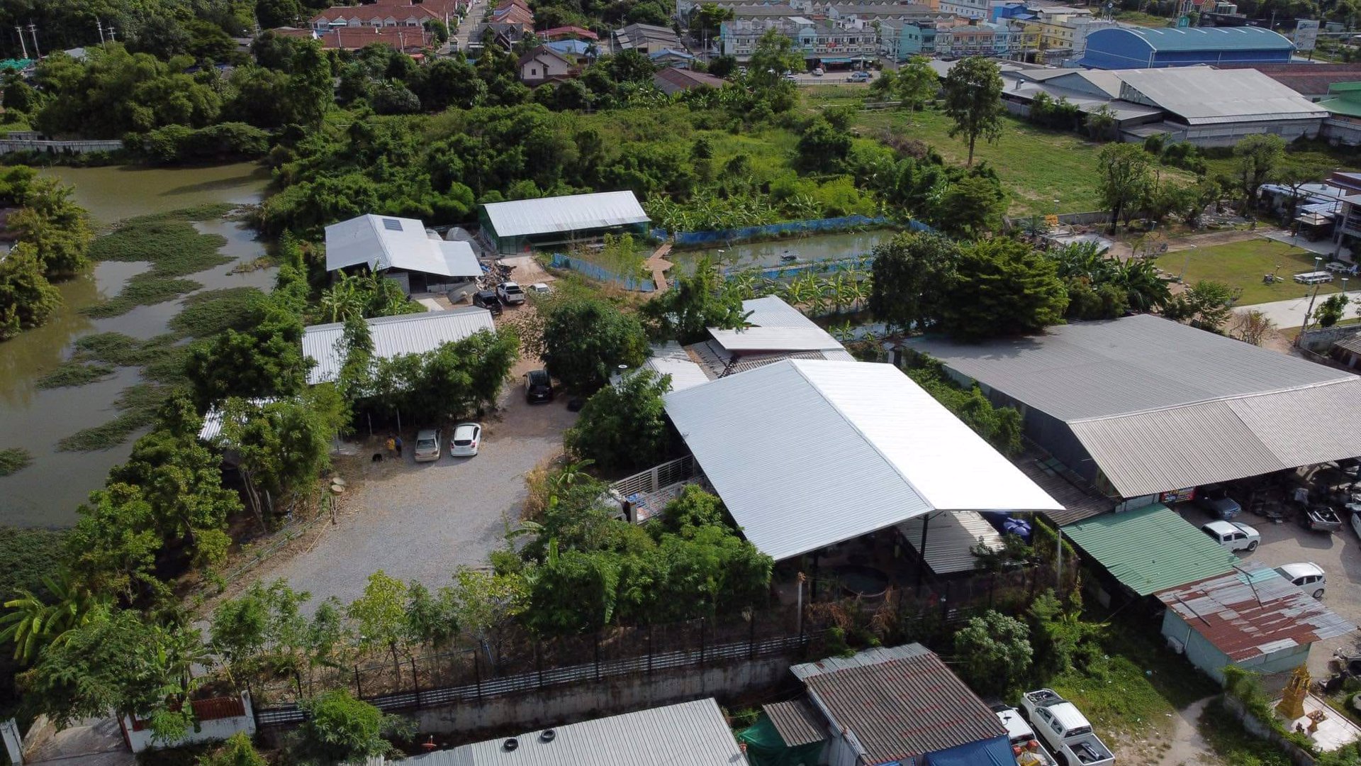 ขายด่วน‼️-ที่ดิน-4-ไร่-พร้อมสิ่งปลูกสร้างใจกลางเมืองระยอง