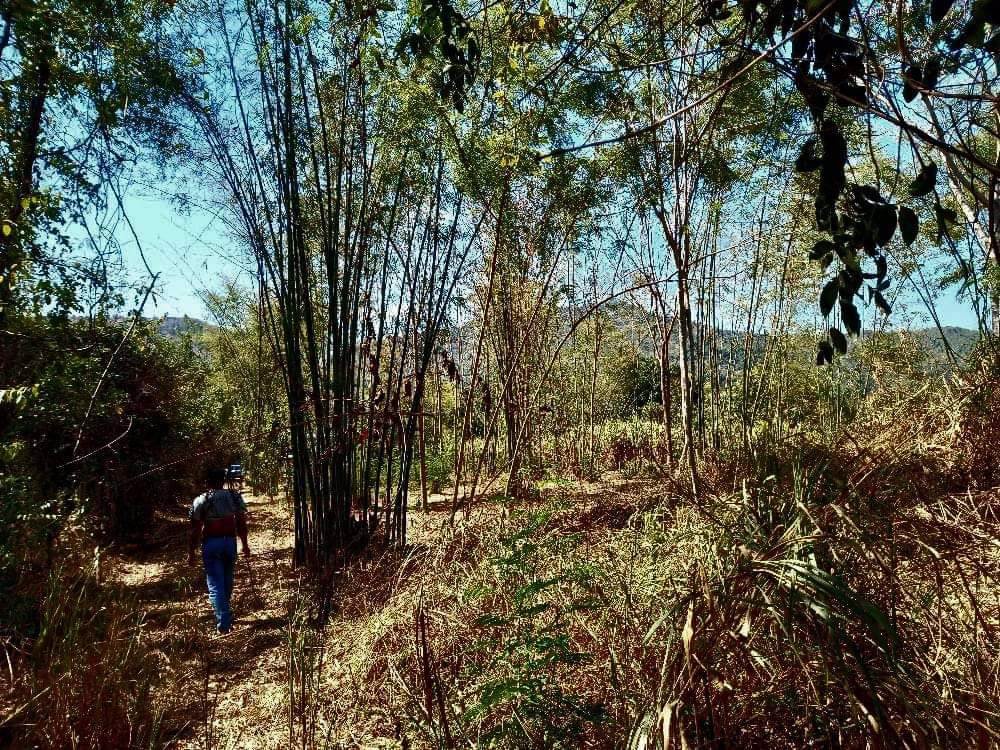ขายที่ดิน-ตำบลหนองพลับ-พร้อมโอน