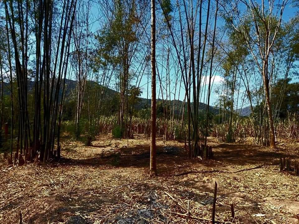 ขายที่ดิน-ตำบลหนองพลับ-พร้อมโอน