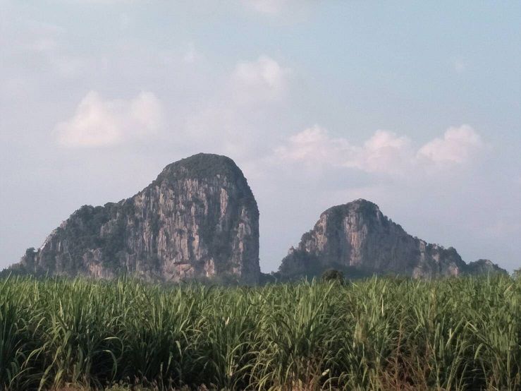 ขายที่ดิน-ทำเลสวย-ฮวงจุ้ยดี-เขาฉกรรจ์-สระแก้ว