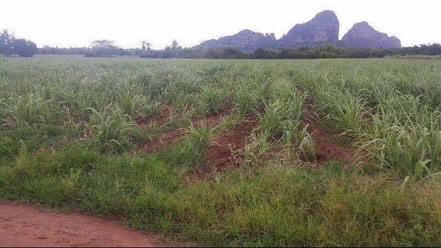 ขายที่ดิน-ทำเลสวย-ฮวงจุ้ยดี-เขาฉกรรจ์-สระแก้ว