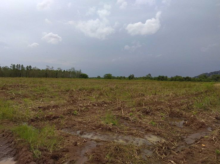 ขายที่ดิน-ทำเลสวย-ฮวงจุ้ยดี-เขาฉกรรจ์-สระแก้ว