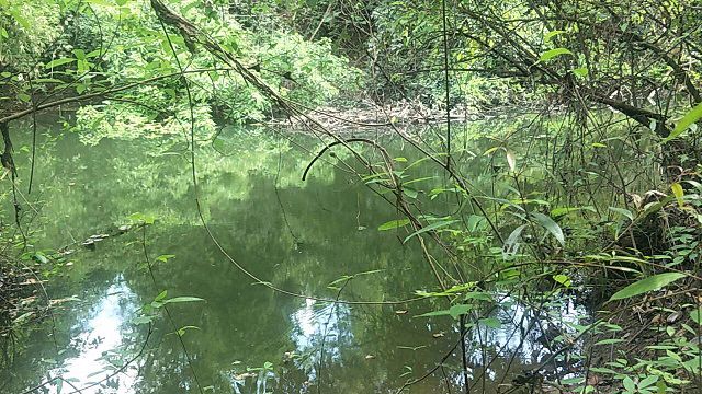 ขายที่ดิน-ทำเลสวย-ฮวงจุ้ยดี-เขาฉกรรจ์-สระแก้ว