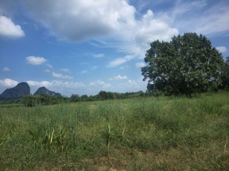 ขายที่ดิน-ทำเลสวย-ฮวงจุ้ยดี-เขาฉกรรจ์-สระแก้ว