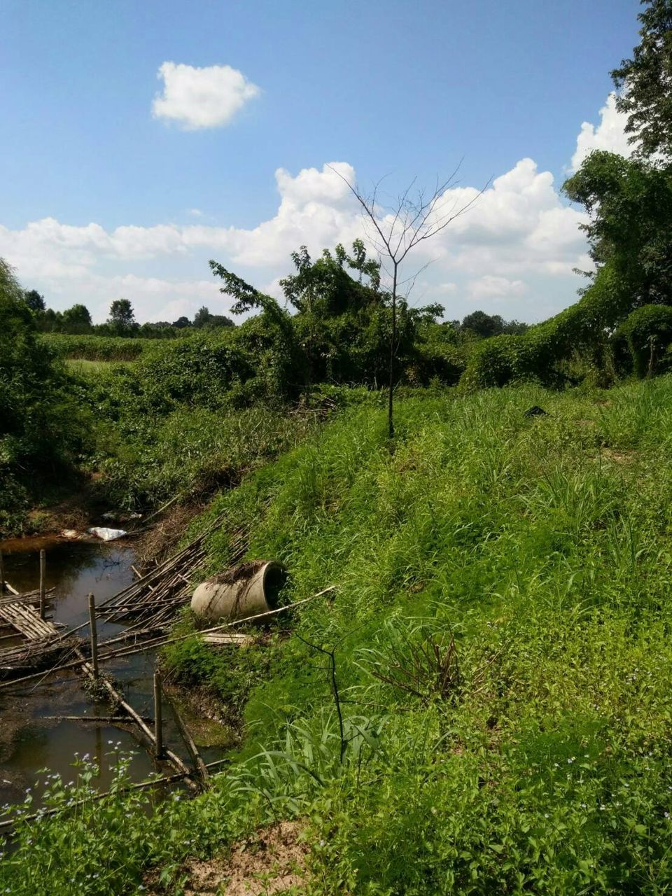 ขายที่ดินทำเลดี-อำเภอเมือง-ปราจีนบุรี