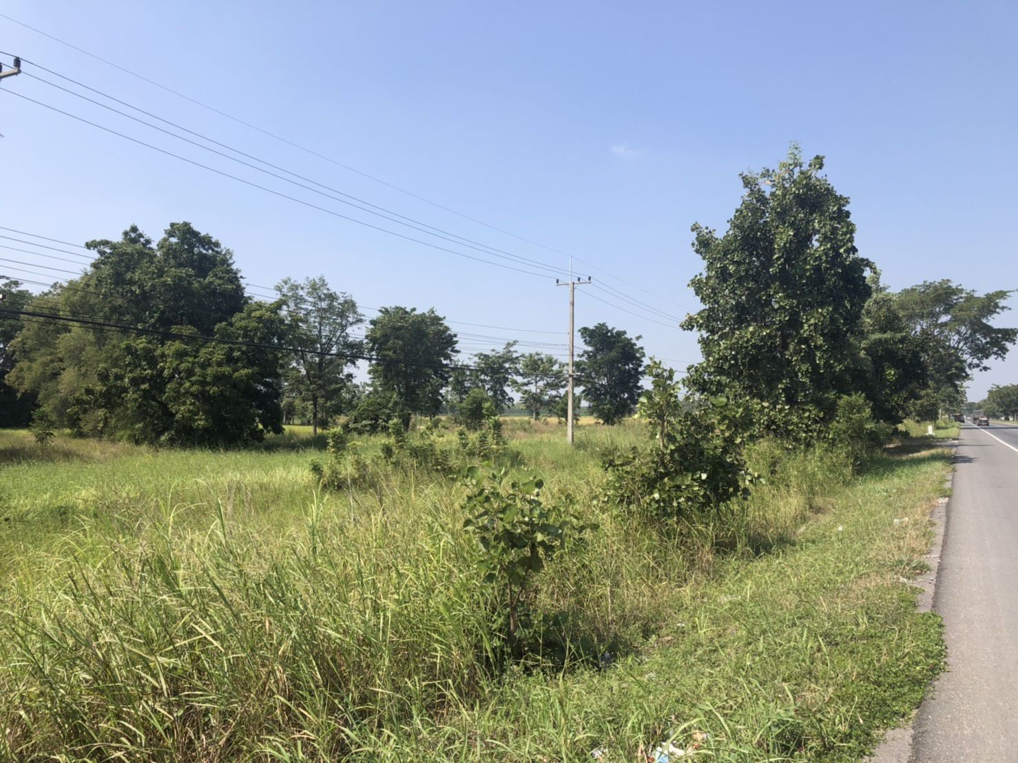 ขายที่ดินทำเลทอง-ติดถนนสายเอเซีย-หนองกระโดน-นครสวรรค์