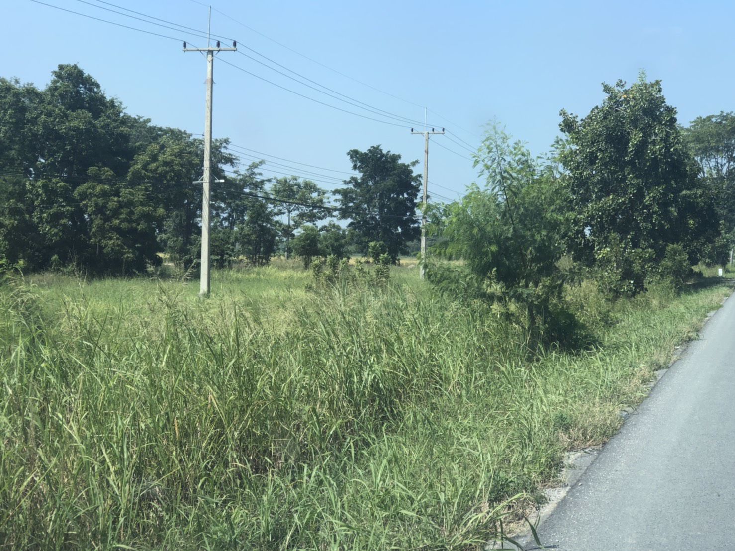 ขายที่ดินทำเลทอง-ติดถนนสายเอเซีย-หนองกระโดน-นครสวรรค์